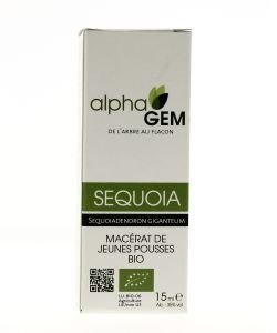 Séquoia (Sequoiadendron gigenteum) bourgeon BIO, 15 ml